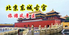 男女操逼污污网站中国北京-东城古宫旅游风景区
